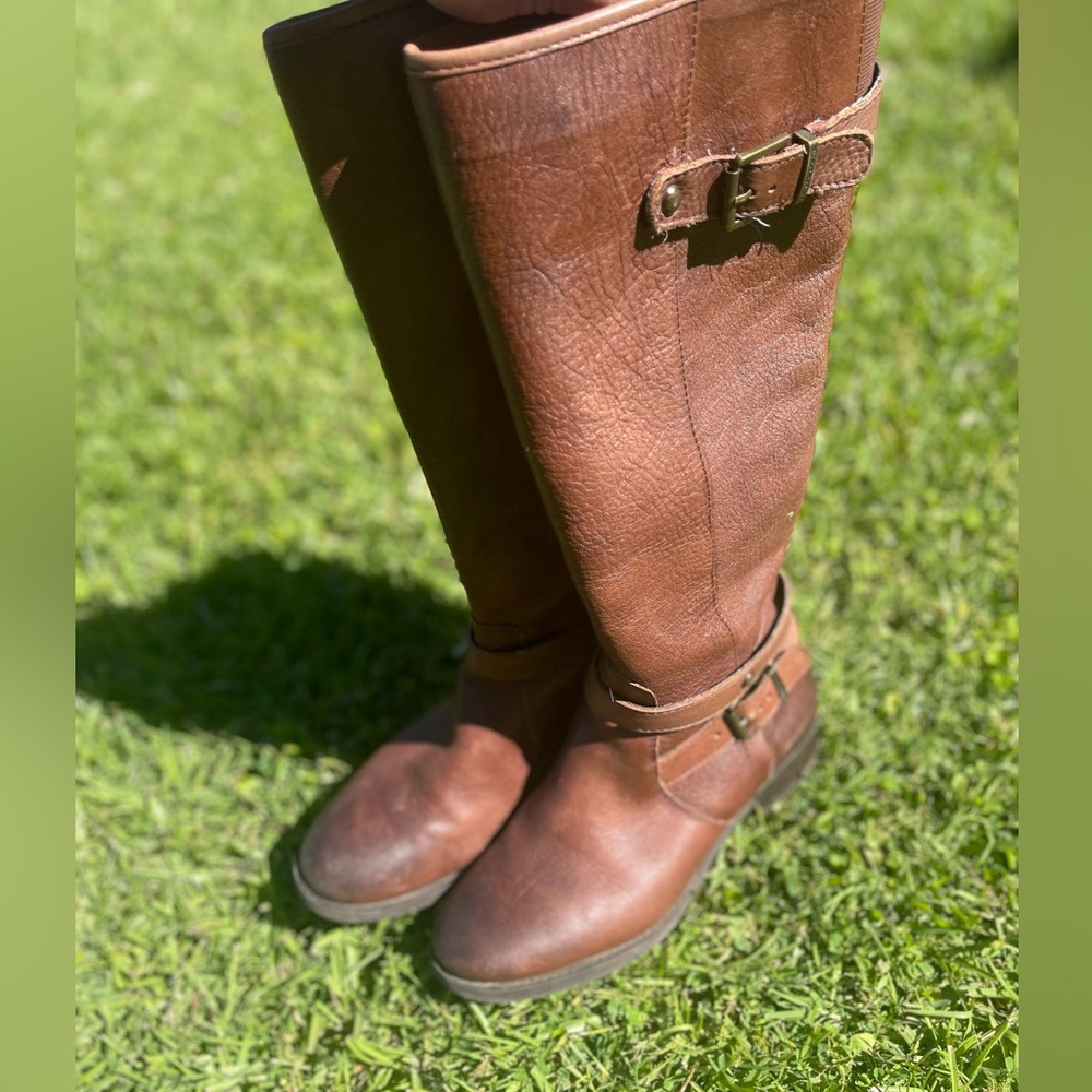 Arturo Chiang brown knee high boots. 7M women.